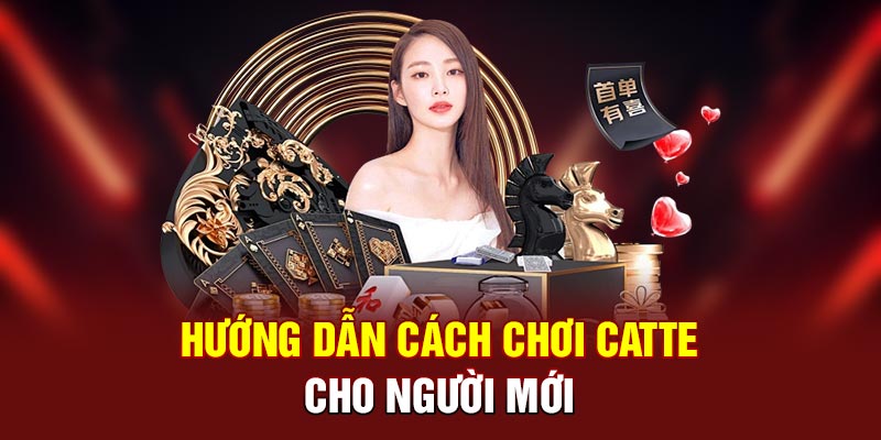 Hướng dẫn cách chơi Catte cho người mới