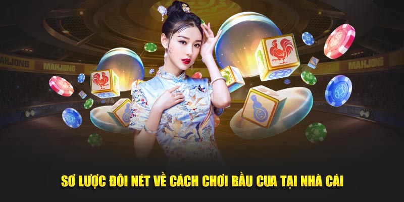 Sơ lược đôi nét về cách chơi bầu cua tại nhà cái
